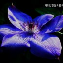 실로암의료재단 이미지