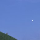 성당시장(2) 이미지