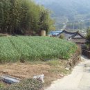 남해-134 이미지