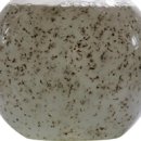 전라남도해양수산과학원해남지소장 이미지