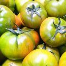 화서탑내과의원 이미지