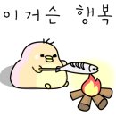 뉴독 이미지