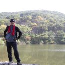 한림발전소[동] Daum카페