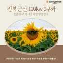 153태양광발전소 이미지