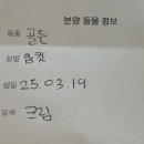 달빛 햄스터리 이미지
