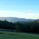 피스테라 이미지