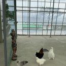 루키목장 이미지