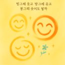 봉그레 이미지