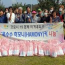 hamony 이미지