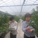 이해주농장 이미지