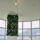 러스틱라운지 이미지