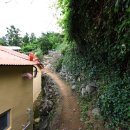 지세포성 라벤더 공원을 찾아 이미지