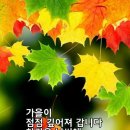 "10월의 마지막 날, '우면산둘레길' 산책"＜2024.10.31(목)＞ 이미지