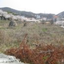 아산시-2017-010 이미지