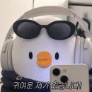 상림로-11 | 2024 일상_7월(1)