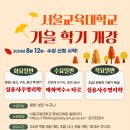 🌼서울교육대학교/ 사주자격증/ 타로자격증, 상담사자격증, 사주배우기, 명리배우기, 타로배우기🌸강남 서초 서울교육대학교 평생교육원 이미지