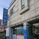 [삼척활어회센터PART2]꽃새우 도화새우 먹은 성우식당 찐 후기
