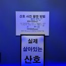 여수교육지원청(본관) | 여수 가성비 교육형 수족관, 전라남도 해양수산과학관 : 아이와 갈만한 곳