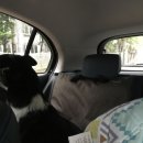 금수강산문화공원야영장(3) 이미지