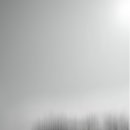 선경목장 이미지