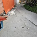 청춘바다낚시 | #14 [제주게하스텝_4일차] 야무지게 놀기(제주 첫 낚시, 방탈출)