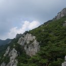 외송중앙길 티스토리