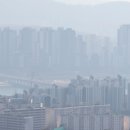 부동산연구소 공인중개사사무소 이미지
