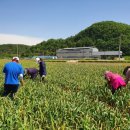 산성면사무소 이미지