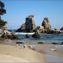 동해바다 이미지