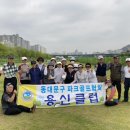 용신20 이미지