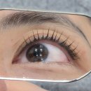 고양동산고등학교 | 고양 삼송 뷰티샵 고양 삼송 속눈썹 뷰티몬드