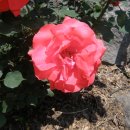 갈전농장 이미지