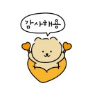 마이독 프리미엄 펫 스튜디오 이미지