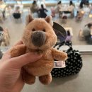 유경분식 | 12월호 | 무계획도 계획이라고 위로하다가 한 해가 끝났다.