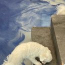 붕가붕가샵 이미지