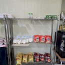 도그펠리스 이미지