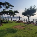 오투마트 | 3월 가볼만한곳 서해 태안 무료 조개체험 펜션 오투오션 가족 숙소 추천