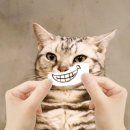 억부닭발 이미지