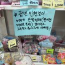세아랩스 이미지
