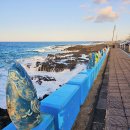 제주도 오토바이 렌트 먹거리 가득한 제주여행의 시작. 할리데이비슨 이미지