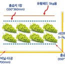 ㈜탑프레쉬 이미지