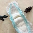 도도블리 | 팸퍼스 베이비 드라이 팬티 기저귀 돌전아기 두돌아기 착용후기