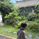 완산-64 | 현실 육아 여행기록 / 연년생 아기랑 떠난 전라도 여행 1일차 / 전주한옥마을, 한옥 숙소, 전주맛집