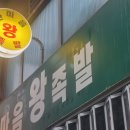 한마음왕족발 본점