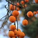 너른마당 이미지