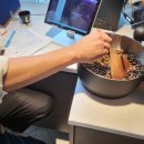 강남로1 이미지