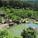 하동산수애 네이버블로그