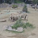 어쎔블 서울신문