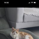 빛고을 동물의료센터 이미지