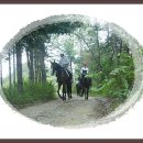 화이트 밸리 이미지